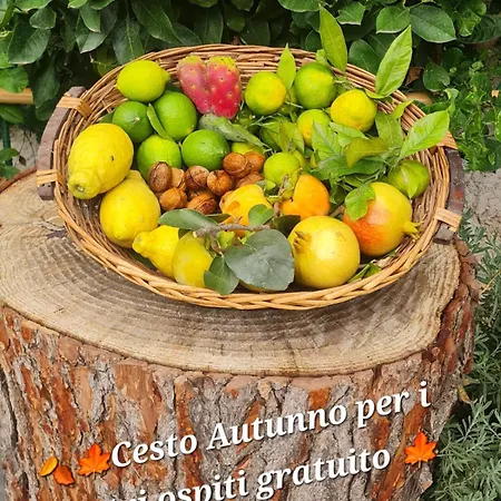 Apartament Casa Cioffi