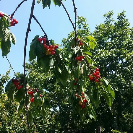 Casa Cioffi شقة *