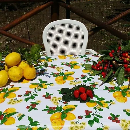 Casa Cioffi فيكو إيكوينس