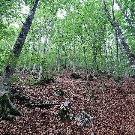 Apartamento Casa Cioffi *