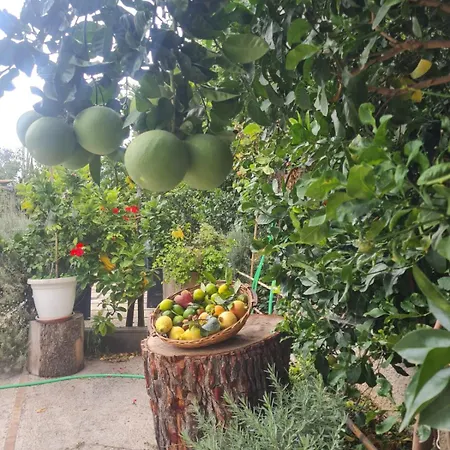 Casa Cioffi Vico Equense