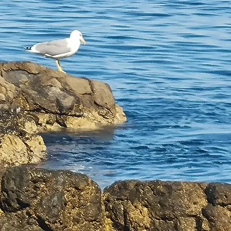 Casa Cioffi Apartamento *
