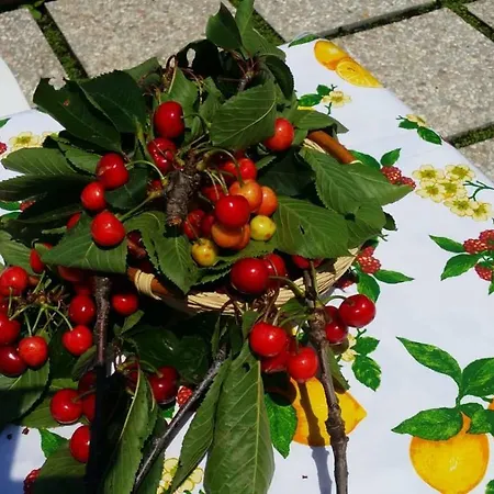 Casa Cioffi Lejlighed